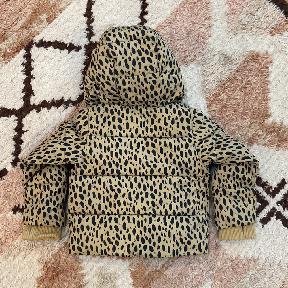 Crewcuts Puffer Jacket - Picture 5 of 5